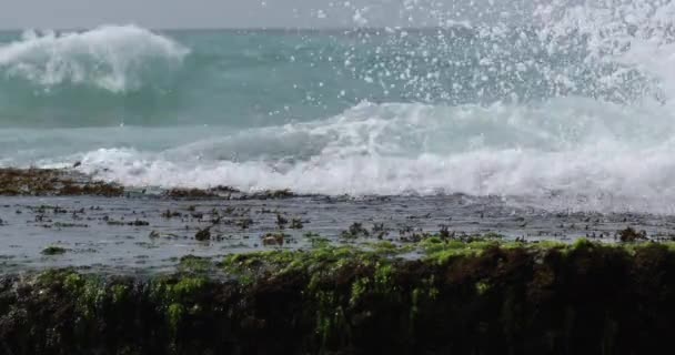 Close-up footage of ocean waves washing tropical beach on shore of Sri Lanka - Footage, Video