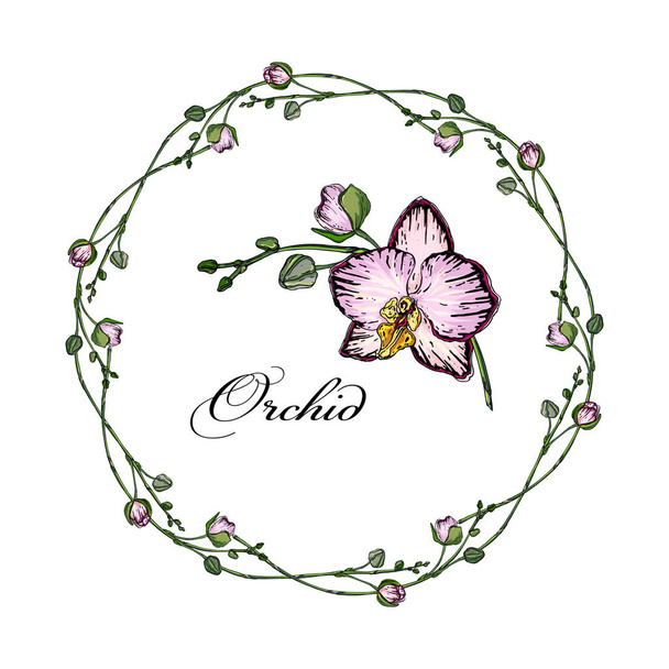 Elementi floreali luminosi del Orchid per progettazione. Illustrazione botanica
 - Vettoriali, immagini