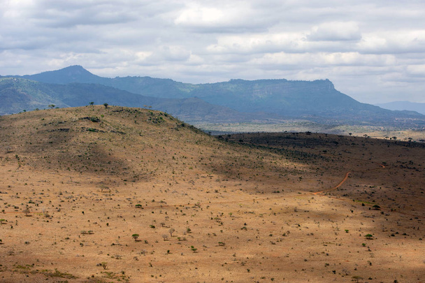 Саванна пейзаж в Национальном парке Кении
 - Фото, изображение