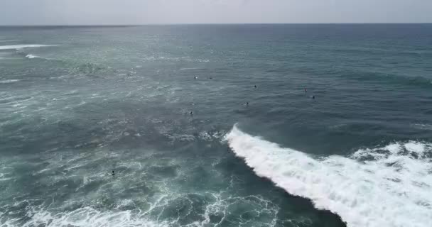 Aerial view from drone of surfers for catching waves during surfing  in the indian ocean - Footage, Video