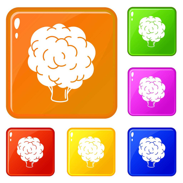 Broccoli icons set vector color - Vetor, Imagem