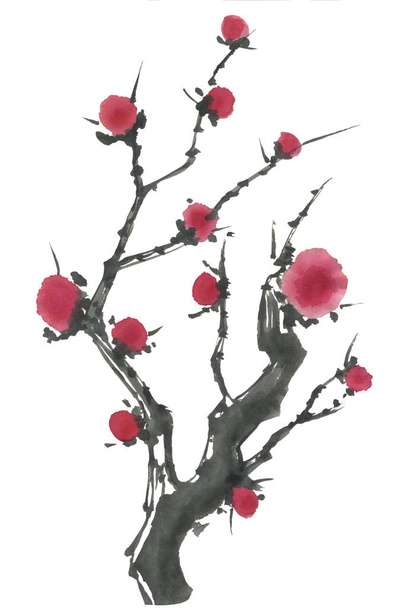 A branch of a blossoming sakura. Pink and red stylized flowers of plum mei and  wild cherry . Watercolor and ink illustration of tree in style sumi-e, go-hua,  u-sin. Oriental traditional painting. - 写真・画像