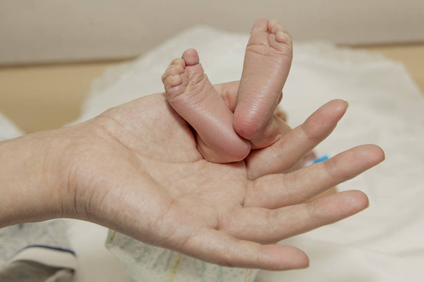 mom keeps the baby's feet, heels pressed together, fingers clenched. - Foto, Bild
