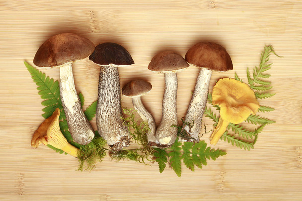 mushrooms and leaves of fern on a wooden background - Φωτογραφία, εικόνα