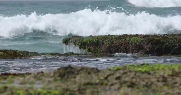 Immagini ravvicinate di onde oceaniche che lavano la spiaggia tropicale sulla riva dello Sri Lanka
 - Filmati, video