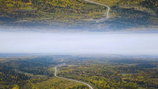 Veduta aerea di una strada curva vuota in una foresta in una giornata estiva, effetto orizzonte a specchio. Green Forest Country Road, vista dall'alto, tema di inizio
. - Foto, immagini