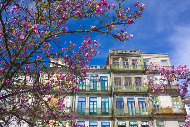 PORTO, PORTUGAL - March 3, 2019: Picturesque architecture of Old Town in Porto - Photo, Image