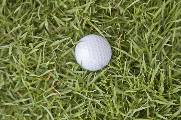 Campo da golf - Foto, immagini