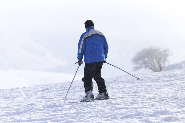 Skier in high mountains - Fotó, kép