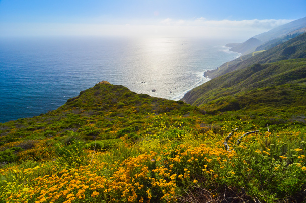 schilderachtige uitzicht op california state route 1 - Foto, afbeelding