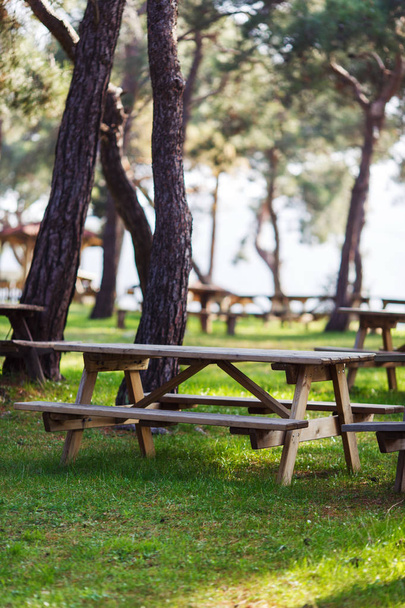 Image of green park with trees, wooden benches, table . - Foto, Bild