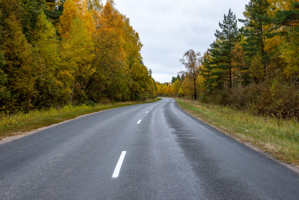 Пустая асфальтовая дорога осенью - Фото, изображение