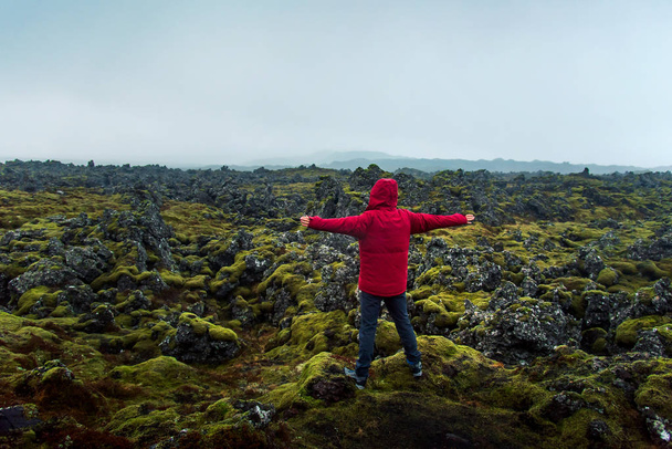 Uomo godendo vista campo di lava in Islanda
 - Foto, immagini