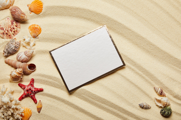top view of blank placard near seashells, red starfish and corals on sandy beach  - Valokuva, kuva