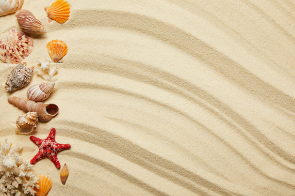 flat lay of seashells, red starfish and corals on sandy beach  - Photo, Image