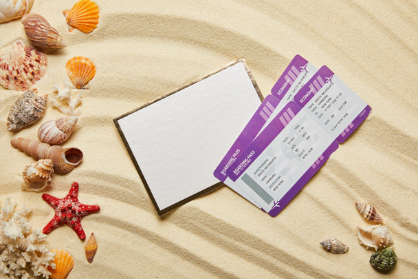 vista superior del cartel en blanco cerca de los billetes de avión y conchas marinas en la playa de arena
  - Foto, Imagen