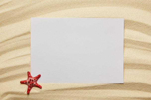 Blank plakkaat in de buurt van rode zeester op zandstrand in de zomer - Foto, afbeelding