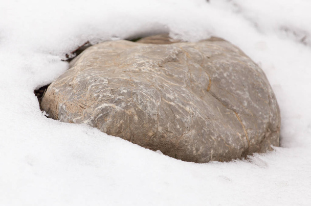 stones in the snow on the nature - 写真・画像
