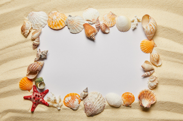 marco de conchas marinas cerca de pancarta en blanco en la playa de arena
 - Foto, imagen