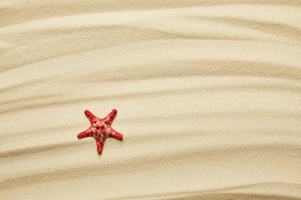 étoile de mer rouge sur la plage de sable doré en été
  - Photo, image