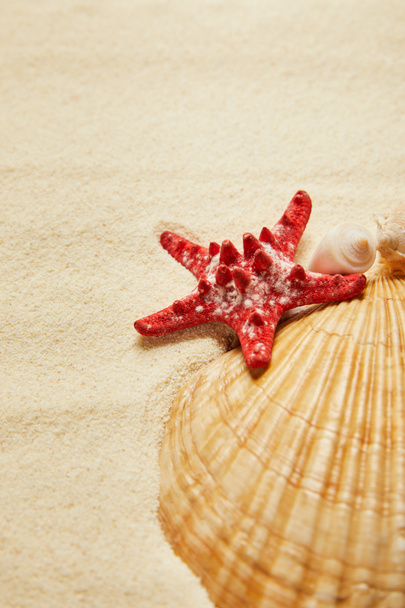 selective focus of red starfish near seashells on beach with golden sand  - Zdjęcie, obraz