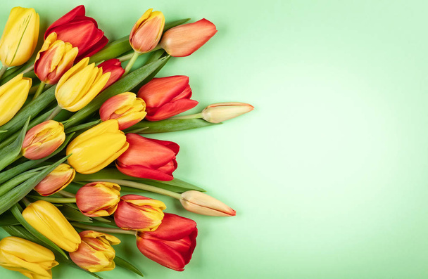 Beautiful red  tulips flowers for holiday. - Фото, зображення