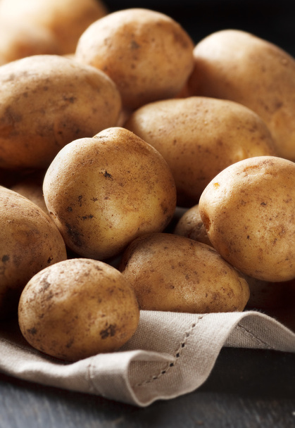 Potato - Zdjęcie, obraz