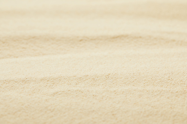 selective focus of golden sandy surface on beach in summertime - Photo, Image