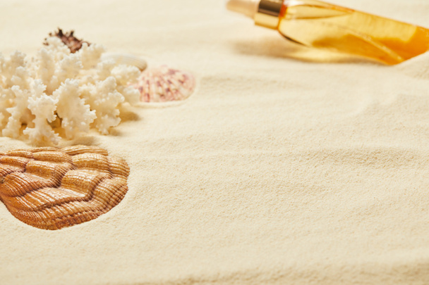 foyer sélectif de coquillage près de corail blanc et bouteille d'huile bronzage sur sable
  - Photo, image