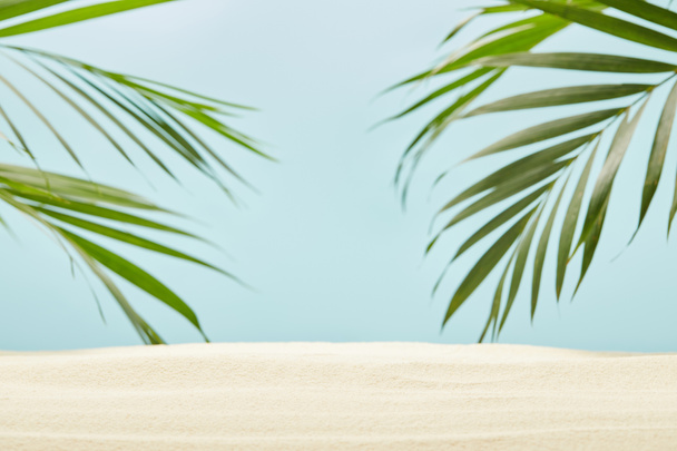 green palm leaves near golden sand on blue - Foto, imagen