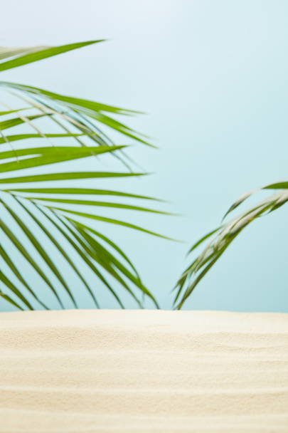 selective focus of golden sandy beach near green palm leaves on blue - Foto, imagen