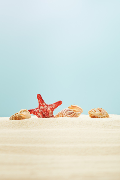 selective focus of red starfish near seashells on sandy beach isolated on blue - Photo, Image