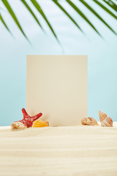 selective focus of blank placard, red starfish and seashells on sand near green palm leaf on blue - Photo, Image