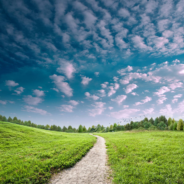 Fantastisch landelijk landschap met groene heuvels en pluizige witte wolken in de blauwe lucht - Foto, afbeelding