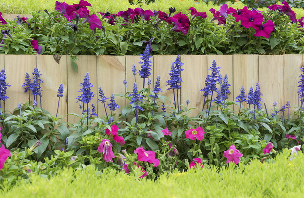 Fából készült kerítés a virágoskert - Fotó, kép