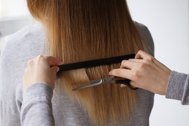 Nainen leikkaa hiuksia hänen ystävänsä kotona
 - Valokuva, kuva