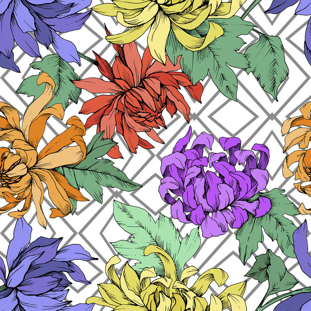 Vector Chrysanthemum flores botánicas florales. Arte de tinta grabada. Patrón de fondo sin costuras
. - Vector, imagen