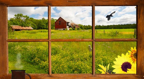 Краєвид країни видно крізь вікно фермерського будинку
. - Фото, зображення