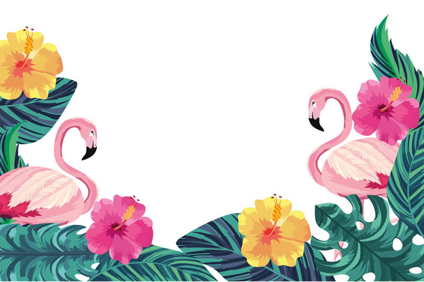 tropical flamingos with flowers cartoon vector illustration graphic design - Vector, Image