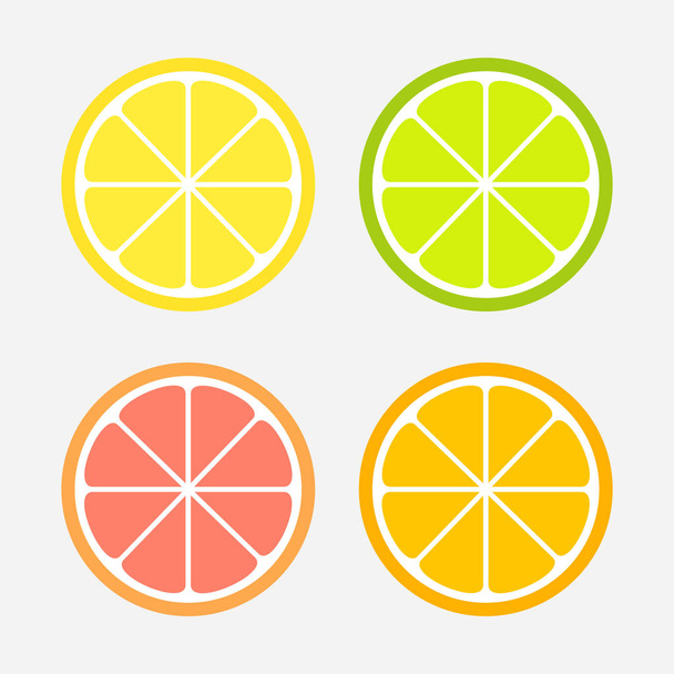 Citrus slices set: lemon, orange, lime and grapefruit. - Вектор,изображение