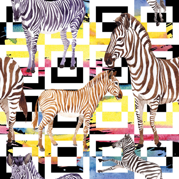 Egzotyczne zebra dzikich zwierząt w stylu przypominającym akwarele. Zestaw ilustracji tle akwarela. Bezszwowe tło wzór. - Zdjęcie, obraz