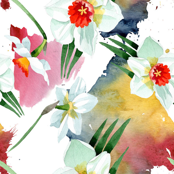 Fleur botanique florale narcisse blanche. Ensemble d'illustration de fond aquarelle. Modèle de fond sans couture
. - Photo, image