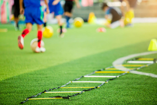 selective focus to ladder drills on green artificial turf with b - Photo, Image