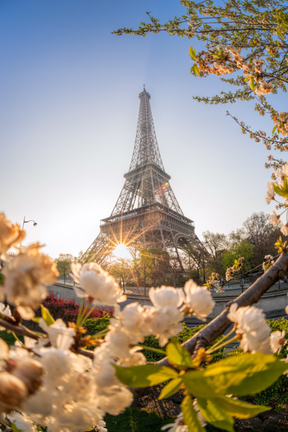 エッフェル塔パリ、フランスの春の時間の間に - 写真・画像