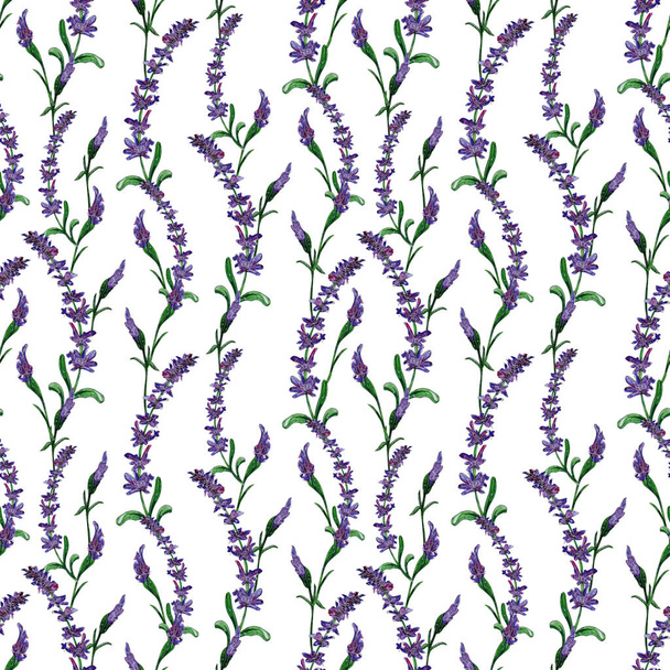 Hand painted watercolor seamless pattern of spring flowers - Фото, зображення