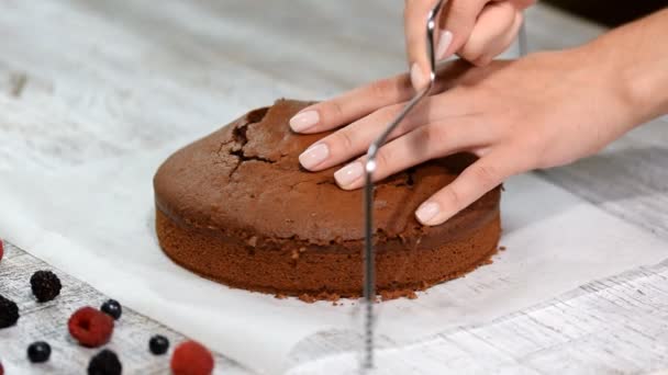 Snij de Cake op lagen. Het maken van chocolade Layer Cake. - Video