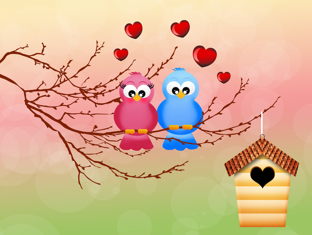 Birds in love - Foto, afbeelding