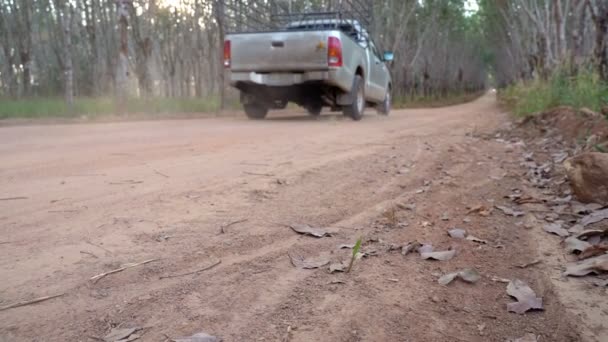 Camiones pick-up de cámara lenta circulan por caminos de tierra polvorientos en plantaciones de caucho
. - Imágenes, Vídeo
