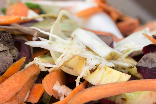 гниющие овощные отходы на кухне
 - Фото, изображение