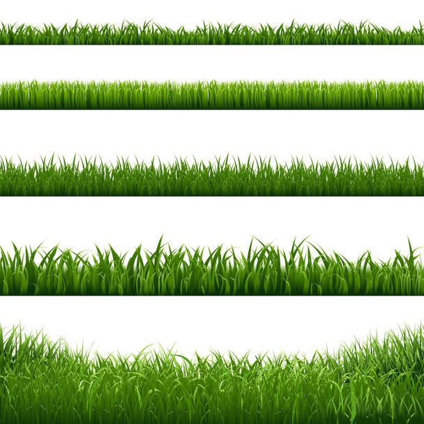 Grass Frame Borders, Vector Illustration - Vector, Image